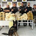 Draco realiza 77 operações e reforça ações de enfrentamento ao crime organizado em todo o Piauí