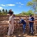 Adapi supera metas e fortalece defesa sanitária animal no Piauí
