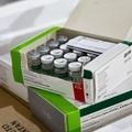 Sesapi recebe 280 mil doses de vacina contra Influenza e prepara campanha de imunização
