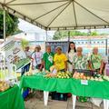 Quitanda da Agricultura Familiar realiza comercialização de alimentos saudáveis no Palácio de Karnak