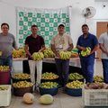 SAF entrega mais de três toneladas de alimentos e beneficia 116 famílias no sul do Piauí