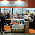 Piauí ganha destaque no maior encontro do artesanato brasileiro em São Paulo