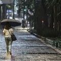 Além dos mapas: Cemaden amplia acesso a boletins e produtos de monitoramento de desastres