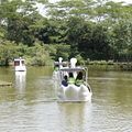 Passeio de Pedalinho é a mais nova atração do Bioparque Zoobotânico